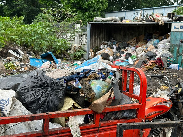 image Au secours les mouches nous envahissent !